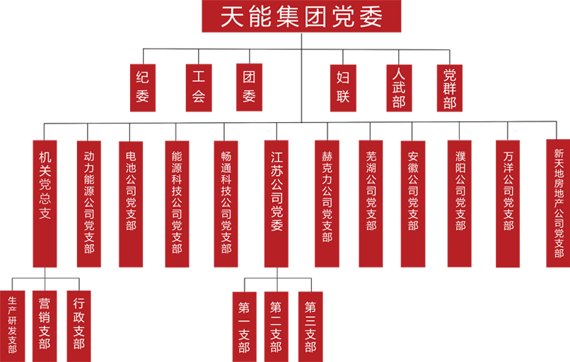 AG尊龙凯时建团党委组织架构